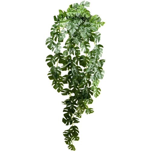 4064118182405 - Künstliche Zimmerpflanze CREATIV GREEN Splitphilodendron-Hängepflanze weiß H95cm Kunstpflanzen mit zahlreichen Blättern 4064118182405 - Künstliche Zimmerpflanze CREATIV GREEN Splitphilodendron-Hängepflanze weiß H95cm Kunstpflanzen mit zahlreichen Blättern