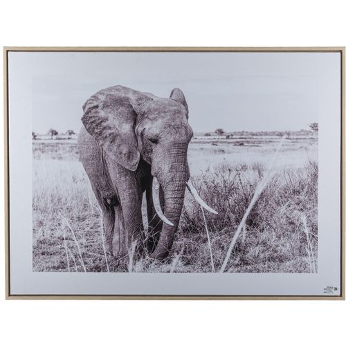 4064118351726 - Bild mit Rahmen CREATIV HOME Elefant schwarz-weiß (farbe rahmen hellbraun farbe bild(er) schwarz weiß) B80cm H60cm T25cm Bilder mit schwarz-weißem Motiv