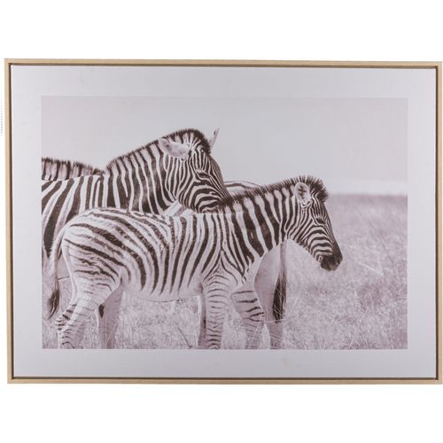 4064118351702 - Bild mit Rahmen CREATIV HOME ebra schwarz-weiß (farbe rahmen hellbraun farbe bild(er) schwarz weiß) B80cm H60cm T25cm Bilder mit schwarz-weißem Motiv