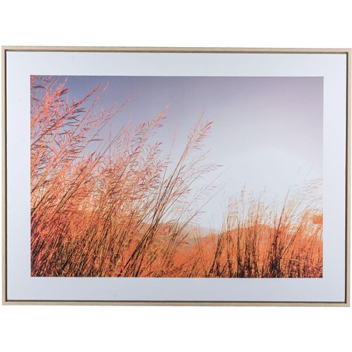 4064118351696 - Bild mit Rahmen CREATIV HOME Wiese beige (farbe rahmen hellbraun farbe bild(er) natur) B80cm H60cm T25cm Bilder mit besonderer Lichtstimmung