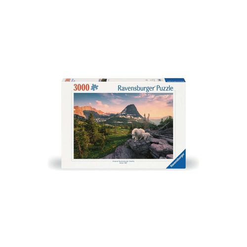 4005555008095 - Ravensburger Puzzle 12000809 - Almbock mit Baby - 2000 Teile Puzzle für Erwachsene ab 14 Jahren 4005555008095 - Ravensburger Puzzle 12000809 - Almbock mit Baby - 2000 Teile Puzzle für Erwachsene ab 14 Jahren