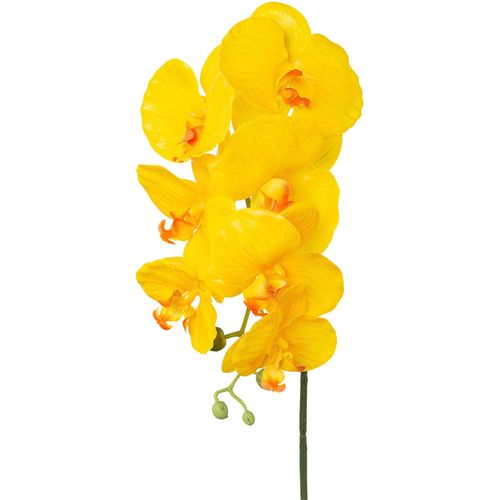 4064118180883 - Kunstorchidee »Orchidee Phalaenopsis« mit real-touch-Blüten 4064118180883 - Kunstorchidee »Orchidee Phalaenopsis« mit real-touch-Blüten
