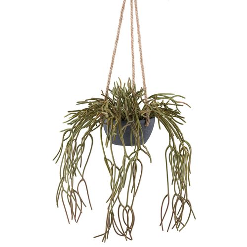 4064118242734 - Kunstpflanze »Hängepflanze Rhipsalis pilocarpa« in grauem Hängetopf