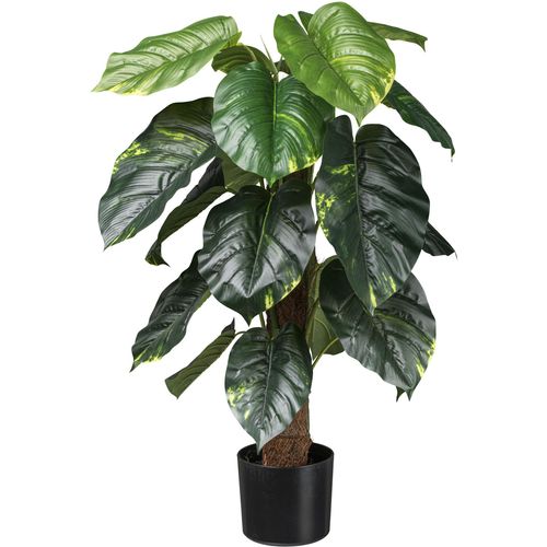 4064118181965 - Künstliche Zimmerpflanze »Philodendron Scandens« mit Kokosfasern am Stamm