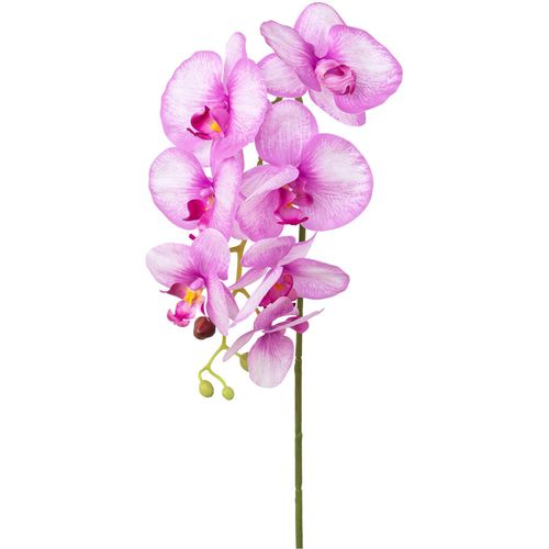 4064118180906 - Kunstorchidee »Orchidee Phalaenopsis« mit real-touch-Blüten