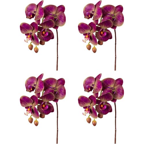 4064118180869 - Kunstorchidee »Orchidee Phalaenopsis« mit real-touch-Blüten