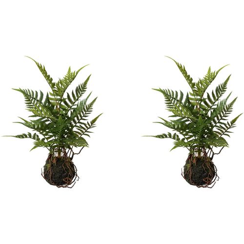 4064118135210 - Künstliche Zimmerpflanze CREATIV GREEN Farn im Ballen Kunstpflanzen Gr B H L 14 cm x 38 cm x 14 cm 2 St grün Künstliche Zimmerpflanzen 4064118135210 - Künstliche Zimmerpflanze CREATIV GREEN Farn im Ballen Kunstpflanzen Gr B H L 14 cm x 38 cm x 14 cm 2 St grün Künstliche Zimmerpflanzen