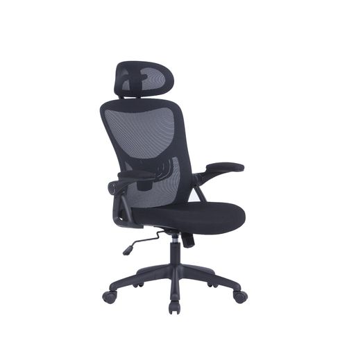 4251942230161 - Byliving - Bürostuhl flex Kunststoff schwarz Netzstoff schwarz einstellbare Kopfstütze Wippmechanik Lordoseneinstellung b 62 h 111-119 t 4251942230161 - Byliving - Bürostuhl flex Kunststoff schwarz Netzstoff schwarz einstellbare Kopfstütze Wippmechanik Lordoseneinstellung b 62 h 111-119 t