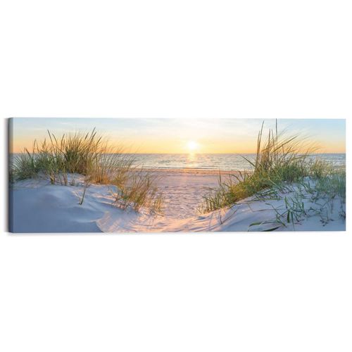 8714597688382 - Deco-Panel REINDERS Sonnenuntergang in den Dünen beige (farbe bild(er) beige) B118cm H40cm T2cm Bilder Wohnzimmer - Beige - MDF - Wasser - 118x40 cm 8714597688382 - Deco-Panel REINDERS Sonnenuntergang in den Dünen beige (farbe bild(er) beige) B118cm H40cm T2cm Bilder Wohnzimmer - Beige - MDF - Wasser - 118x40 cm