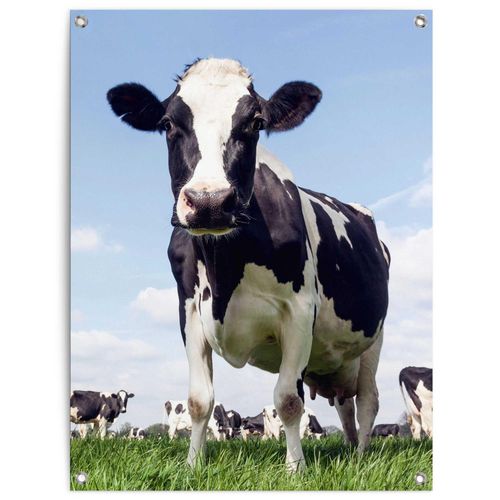 8714597665925 - Poster REINDERS Dutch Cow grün (farbe bild(er) grün) B60cm H80cm T01cm Bilder Garten - Kuh - Wiese - Grün - Leinwand - Tiere - 60x80 cm 8714597665925 - Poster REINDERS Dutch Cow grün (farbe bild(er) grün) B60cm H80cm T01cm Bilder Garten - Kuh - Wiese - Grün - Leinwand - Tiere - 60x80 cm