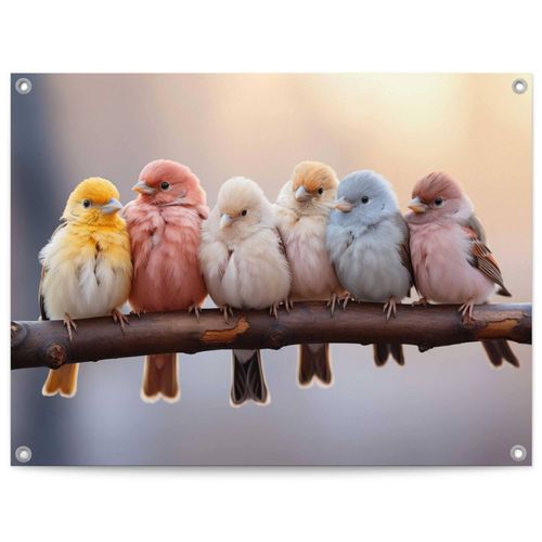 8714597665895 - Poster REINDERS Pastel Birds bunt (farbe bild(er) mehrfarbig) B80cm H60cm T01cm Bilder Garten - Gartenvögel - Mehrfarbig - Leinwand - Tiere - 80x60 cm