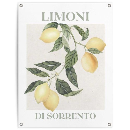 8714597665970 - Poster REINDERS Limoni gelb (farbe bild(er) gelb) B60cm H80cm T01cm Bilder 8714597665970 - Poster REINDERS Limoni gelb (farbe bild(er) gelb) B60cm H80cm T01cm Bilder