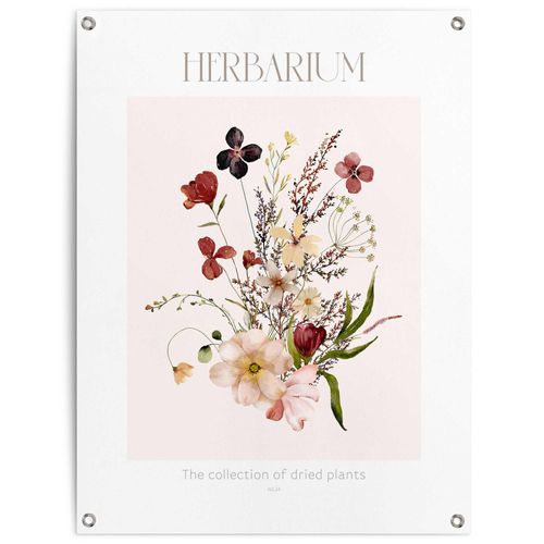 8714597666021 - Poster REINDERS Herbarium bunt (farbe bild(er) mehrfarbig) B60cm H80cm T01cm Bilder