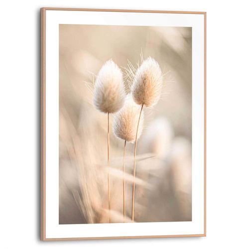 8714597680577 - Poster REINDERS Plumes beige (farbe bild(er) beige) B30cm H40cm T16cm Bilder Wohnzimmer - Grasfedern - Beige - MDF - Blumen und Pflanzen - 30x40 cm 8714597680577 - Poster REINDERS Plumes beige (farbe bild(er) beige) B30cm H40cm T16cm Bilder Wohnzimmer - Grasfedern - Beige - MDF - Blumen und Pflanzen - 30x40 cm