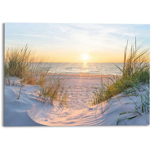 8714597685633 - Deco-Panel REINDERS Sonnenuntergang in den Dünen beige (farbe bild(er) beige) B140cm H100cm T2cm Bilder Wohnzimmer - Beige - MDF - Landschaften - 140x100 cm 8714597685633 - Deco-Panel REINDERS Sonnenuntergang in den Dünen beige (farbe bild(er) beige) B140cm H100cm T2cm Bilder Wohnzimmer - Beige - MDF - Landschaften - 140x100 cm