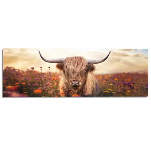 8714597685725 - Deco-Panel REINDERS Frühlingshochländer braun (farbe bild(er) braun) B156cm H52cm T2cm Bilder Wohnzimmer - Braun - MDF - Tiere - 156x52 cm 8714597685725 - Deco-Panel REINDERS Frühlingshochländer braun (farbe bild(er) braun) B156cm H52cm T2cm Bilder Wohnzimmer - Braun - MDF - Tiere - 156x52 cm