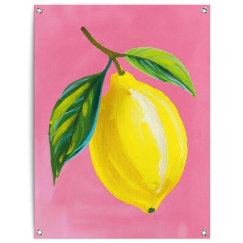 8714597665987 - Poster REINDERS Lemon on Pink gelb (farbe bild(er) gelb) B60cm H80cm T01cm Bilder Garten - Zitrone - Gelb - Leinwand - Essen und Trinken - 60x80 cm