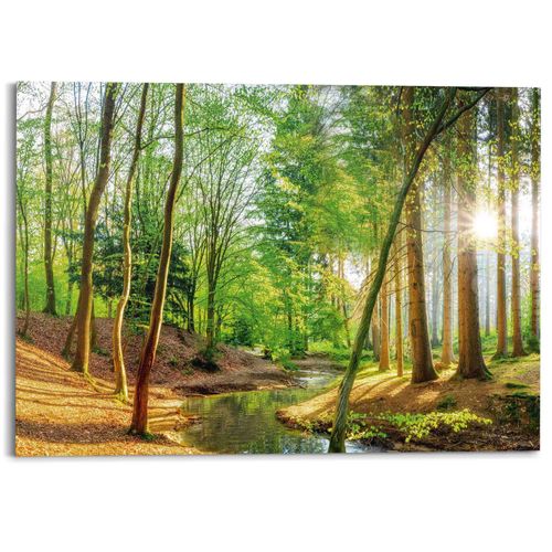 8714597685640 - Deco-Panel REINDERS Sonniger Wald grün (farbe bild(er) grün) B140cm H100cm T2cm Bilder Hobbyraum - Grün - MDF - Wald - 140x100 cm