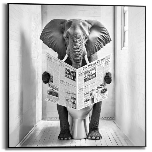 8714597679991 - Poster REINDERS Elephant Toilet schwarz (farbe bild(er) schwarz weiß) B50cm H50cm T16cm Bilder Toilette - WC - Zeitung - Schwarz-Weiß - MDF - Tiere - 50x50 cm