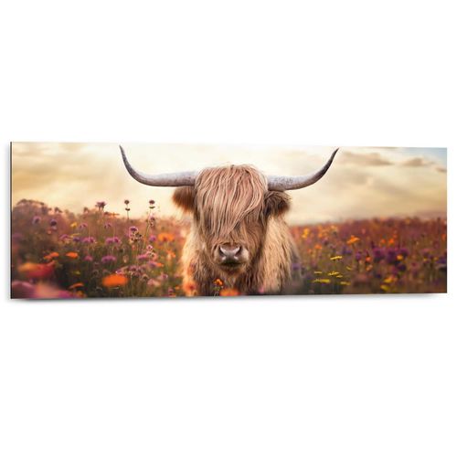 8714597685572 - Deco-Panel REINDERS Frühlingshochländer braun (farbe bild(er) braun) B90cm H30cm T2cm Bilder Wohnzimmer - Braun - MDF - Tiere - 90x30 cm