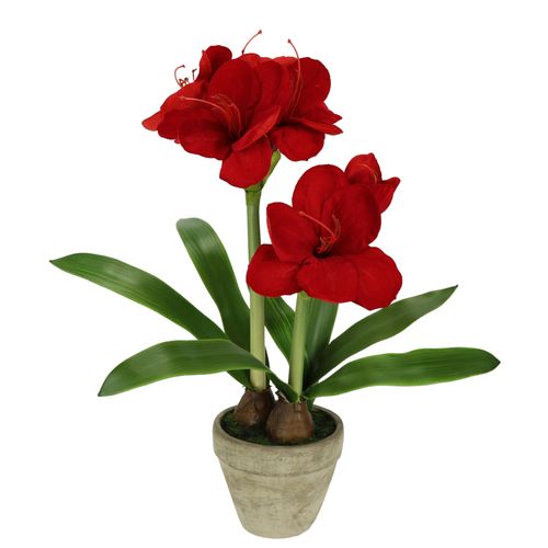 4019844808792 - IGEA Kunstblume »Amaryllis im Topf« 50cm Blume Weihnachtsblume Weihnachtsdeko Winterblume Floristik