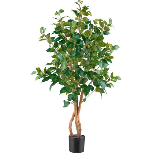 4064118241430 - Kunstpflanze »Ficus benjamina« mit sehr naturgetreu gestalteten Blättern 4064118241430 - Kunstpflanze »Ficus benjamina« mit sehr naturgetreu gestalteten Blättern