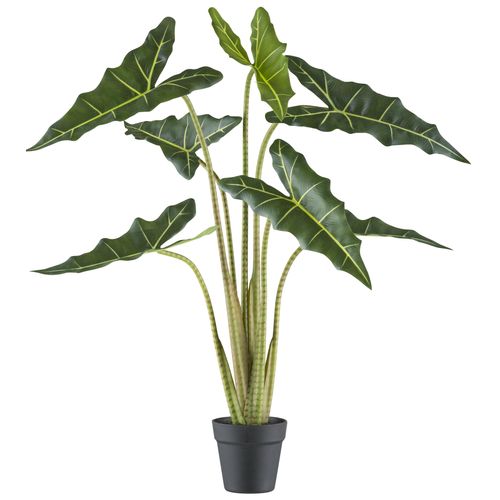 4064118242154 - Kunstpflanze CREATIV GREEN Alocasia zebrina sarian grün H100cm Kunststoff Kunstpflanzen mit gestreiftem Stamm 4064118242154 - Kunstpflanze CREATIV GREEN Alocasia zebrina sarian grün H100cm Kunststoff Kunstpflanzen mit gestreiftem Stamm