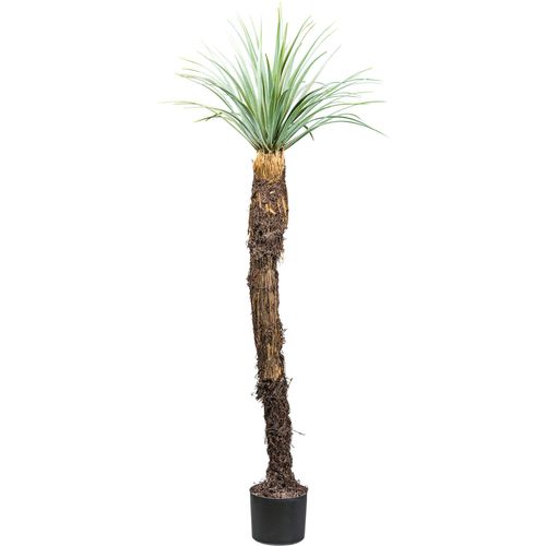 4064118181491 - Kunstpflanze CREATIV GREEN Yucca Rostrata Kunstpflanzen Gr H 150 cm 1 St grün (grün grau) mit außergewöhnlichem Stamm