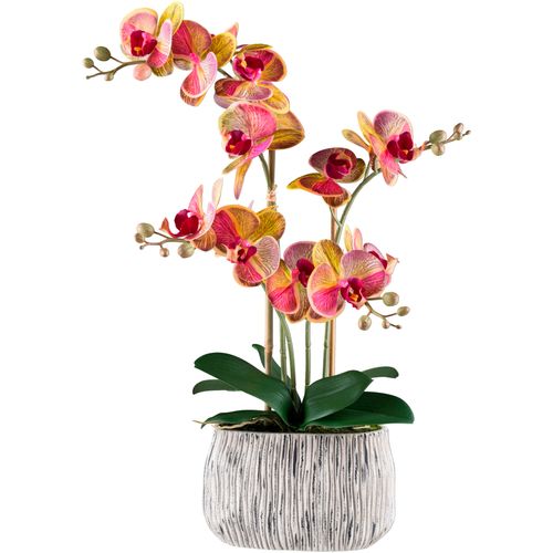 4064118240860 - Kunstorchidee »Orchidee Phalaenopsis« mit aussergewöhnlicher Zementschale 4064118240860 - Kunstorchidee »Orchidee Phalaenopsis« mit aussergewöhnlicher Zementschale