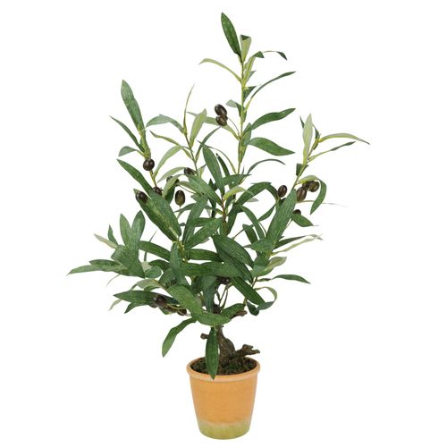 4019844810610 - IGEA Kunstpflanze »Künstlicher Olivenbaum mit schwarzen Früchten« Olive Mediterran Ölbaum Grünpflanze Kunstbaum Dekobaum Baum 4019844810610 - IGEA Kunstpflanze »Künstlicher Olivenbaum mit schwarzen Früchten« Olive Mediterran Ölbaum Grünpflanze Kunstbaum Dekobaum Baum