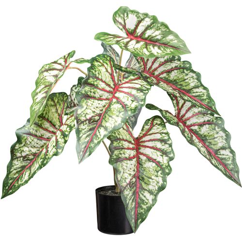 4064118182221 - Künstliche Zimmerpflanze Syngonium Grünpflanze Creativ green Höhe 140 cm mit außergewöhnlichem Blattwerk grün