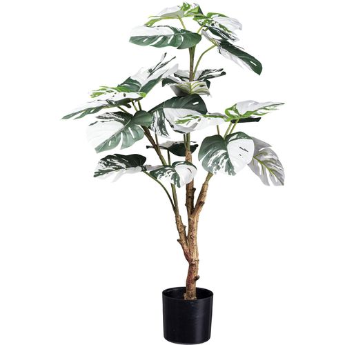 4064118181446 - Kunstpflanze CREATIV GREEN Monstera Deliciosa Variegata grün H80cm Kunstpflanzen mit außergewöhnlichem Blattwerk