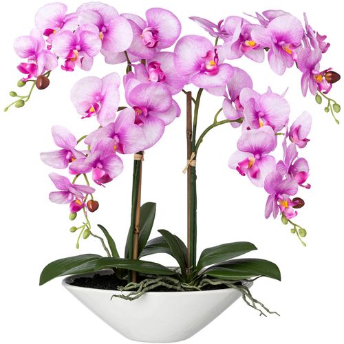 4064118136941 - Kunstorchidee CREATIV GREEN Deko-Orchidee Phalaenopsis in Keramikschale lila B35cm H53cm T15cm Obermaterial 95% Polyethylen 5% Polyester Kunstpflanzen