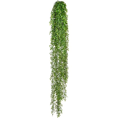 4064118842149 - Kunstranke CREATIV GREEN Ruscushänger Kunstpflanzen Gr B H 16 cm x 160 cm 1 St grün Kunst-Ranken 4064118842149 - Kunstranke CREATIV GREEN Ruscushänger Kunstpflanzen Gr B H 16 cm x 160 cm 1 St grün Kunst-Ranken