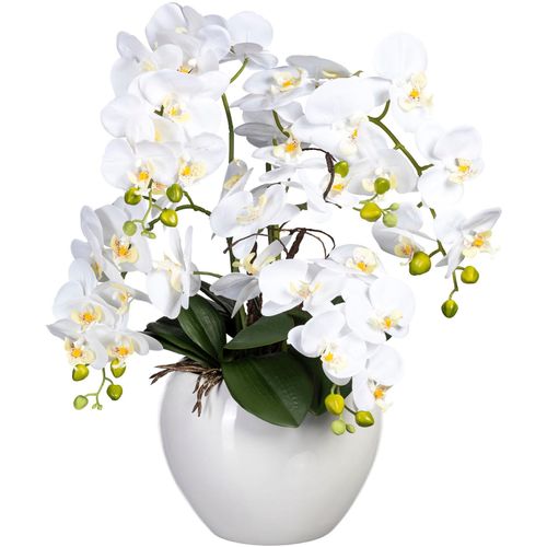 4064118137887 - Kunstorchidee CREATIV GREEN Phalaenopsis im Keramiktopf weiß H56cm Obermaterial 95% Polyethylen 5% Polyester Kunstpflanzen 4064118137887 - Kunstorchidee CREATIV GREEN Phalaenopsis im Keramiktopf weiß H56cm Obermaterial 95% Polyethylen 5% Polyester Kunstpflanzen