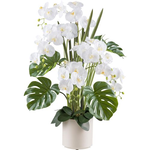 4064118240815 - Kunstorchidee CREATIV GREEN Orchidee Phalaenopsis beige (creme) H110cm Kunststoff Kunstpflanzen mit Gräsern und Splitphilo-Blättern 4064118240815 - Kunstorchidee CREATIV GREEN Orchidee Phalaenopsis beige (creme) H110cm Kunststoff Kunstpflanzen mit Gräsern und Splitphilo-Blättern
