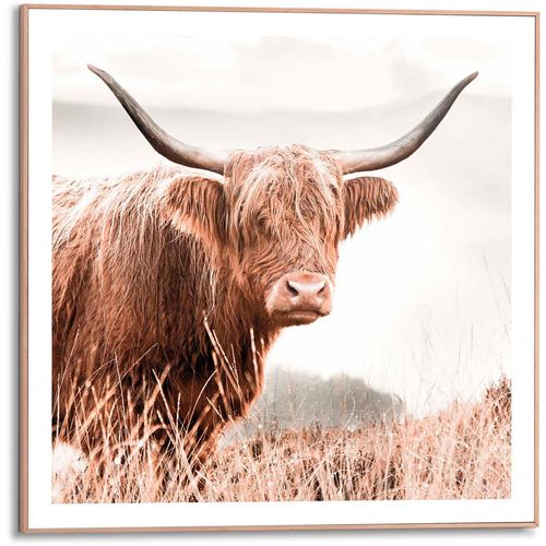8714597615135 - Poster REINDERS Highlander Bilder Gr B H T 50 cm x 50 cm x 16 cm braun Poster 8714597615135 - Poster REINDERS Highlander Bilder Gr B H T 50 cm x 50 cm x 16 cm braun Poster