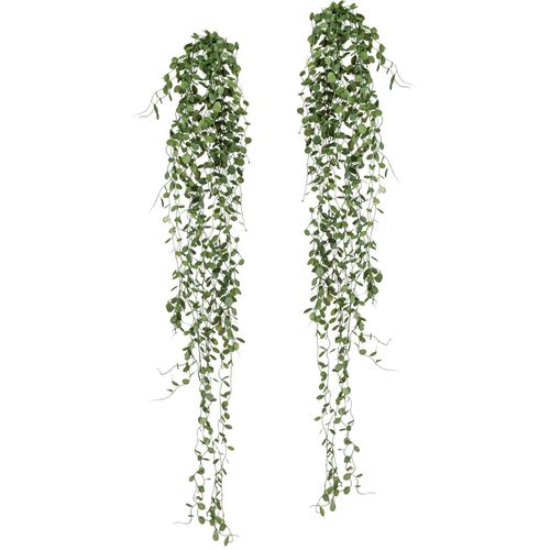 4064118840992 - Kunstranke CREATIV GREEN Mühlenbeckia-Hänger Kunstpflanzen Gr B H 15 cm x 80 cm 2 St grün Kunst-Ranken 2er Set 4064118840992 - Kunstranke CREATIV GREEN Mühlenbeckia-Hänger Kunstpflanzen Gr B H 15 cm x 80 cm 2 St grün Kunst-Ranken 2er Set
