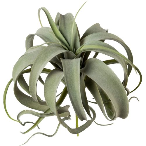 4064118137801 - Kunstpflanze CREATIV GREEN Tillandsie Kunstpflanzen Gr Ø H 28 cm x 25 cm 1 St grün Künstliche Zimmerpflanzen