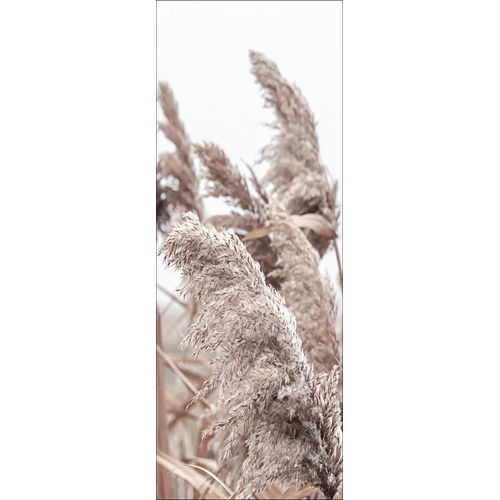 4019449464683 - PRO ART Keilrahmenbild IN THE BREEZE (BHT 77x27x2 cm) BHT 77x27x2 cm bunt 4019449464683 - PRO ART Keilrahmenbild IN THE BREEZE (BHT 77x27x2 cm) BHT 77x27x2 cm bunt