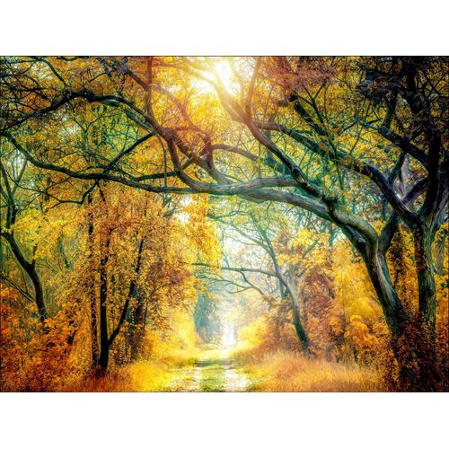 4019449486050 - Keilrahmenbild SUNSHINE FOREST (BHT 116x84x240 cm) PRO ART 4019449486050 - Keilrahmenbild SUNSHINE FOREST (BHT 116x84x240 cm) PRO ART
