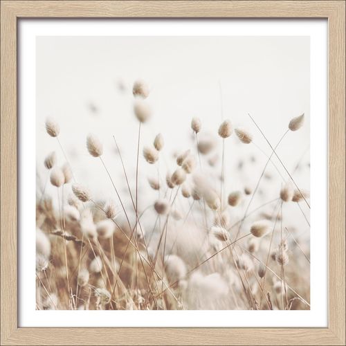 4019449493751 - Gerahmtes Bild DRIED FIBER IV (BHT 28x28x180 cm) PRO ART 4019449493751 - Gerahmtes Bild DRIED FIBER IV (BHT 28x28x180 cm) PRO ART