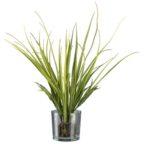 4064118117377 - Kunstgras CREATIV GREEN Wiesengras im Ballen und mit Glas grün H50cm Obermaterial 100% Polyethylen Kunstpflanzen 4064118117377 - Kunstgras CREATIV GREEN Wiesengras im Ballen und mit Glas grün H50cm Obermaterial 100% Polyethylen Kunstpflanzen