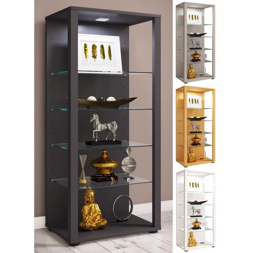 4051814422669 - Glasvitrine stehend Vitrine Glas mit ESG-Sicherheitsglas Maße ca H 115 x B 52 x T 35 cm Standvitrine Glas Modern und platzsparend Glas Vitrinenschrank – Glasol lll