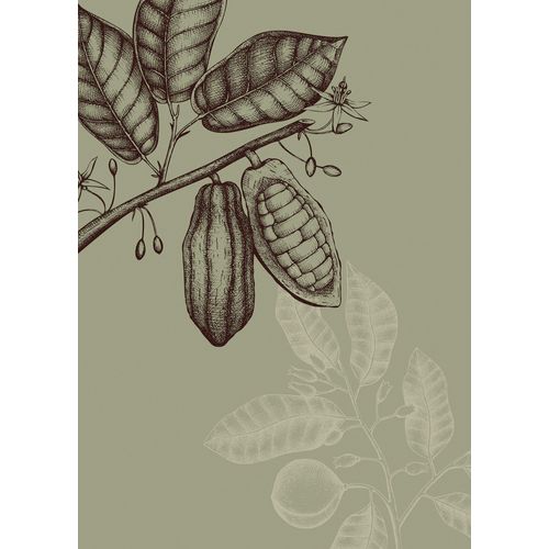 4055065177125 - Wandbild »Wild Cocoa« (1 St) Deutsches Premium-Poster Fotopapier mit seidenmatter Oberfläche und hoher Lichtbeständigkeit Für fotorealistische Drucke mit gestochen scharfen Details und hervorragender Farbbrillanz