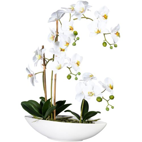 4064118070740 - Kunstorchidee CREATIV GREEN Phalaenopsis Kunstpflanzen Gr H 60 cm 1 St weiß Kunst-Orchideen Kunstpflanzen im Keramikschiff 4064118070740 - Kunstorchidee CREATIV GREEN Phalaenopsis Kunstpflanzen Gr H 60 cm 1 St weiß Kunst-Orchideen Kunstpflanzen im Keramikschiff
