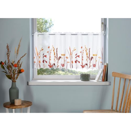 6920192969630 - Scheibengardine HOME AFFAIRE Bille Gardinen Gr 45 cm Durchzuglöcher 90 cm braun Scheibengardinen transparent Gardine transparent echter Voile mit Stickerei waschbar