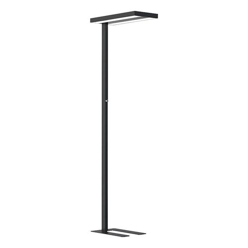 4251351806766 - LED-Stehleuchte Lara Up & Down dimmbar   Bewegungssensor H 1950 mm schwarz kaiserkraft