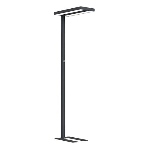 4251351806759 - LED-Stehleuchte Lara Up & Down dimmbar H 1950 mm schwarz kaiserkraft