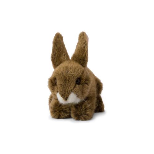 8719066011111 - - Plüschtier - Feldhase (19cm liegend) Hase lebensecht Kuscheltier Stofftier Rabbit